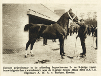 99064 Afbeelding van het prijswinnenden paard Mana van eigenaar A.W.A. v. Rooyen uit Cothen op de ...
